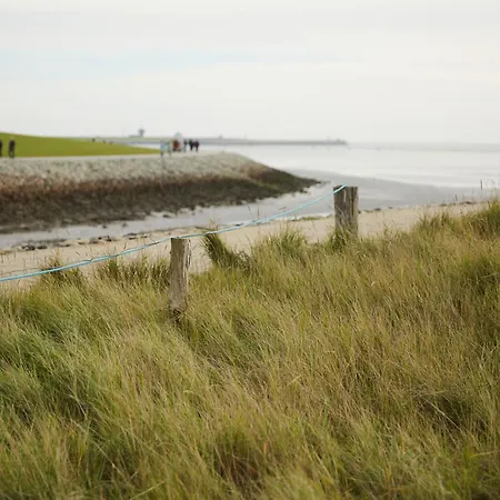 Apartament Binnendiek Haus 5 2 *
